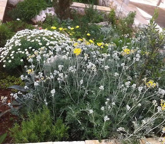 Sanmar * Мандре